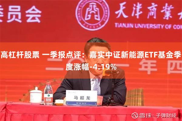 高杠杆股票 一季报点评：嘉实中证新能源ETF基金季度涨幅-4.19%