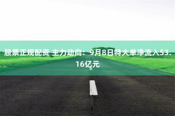 股票正规配资 主力动向：9月8日特大单净流入53.16亿元